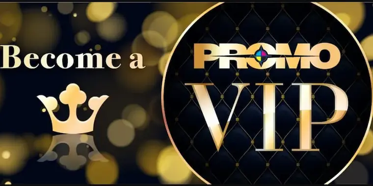 What is the VIP promotion program?